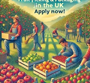 Fruit-picking and packaging jobs in the United Kingdom, Apply now!