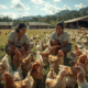 Apply for Poultry Farm Jobs in USA from Nigeria 2025/2026