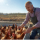 Poultry Farm Jobs in Canada with Visa Sponsorship 2025/2026