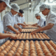 Egg Collection and Poultry Jobs in Canada for Foreigners