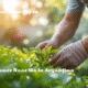 Hire Gardener Near Me in Argentina