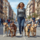 Dog Walker Services in Madrid Spain 2025/2026