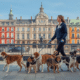 Best Dog Walking Companies in Barcelona