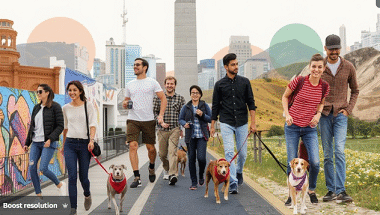 Dog Walker Jobs in Argentina for Foreigners