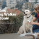 Professional Pet Sitter and Dog Walker Jobs in Spain 2025/2026