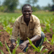 Seasonal Agriculture Jobs in Spain for Africans 2026