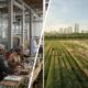 Startup Grants in USA With Visa Sponsorship For Non Citizens 2026